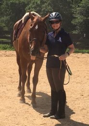 Doc (Doctor Fellar), a school horse at Brentsville Stables