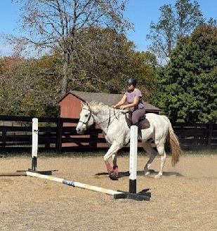 Snow (Carry On), a school horse at Brentsville Stables