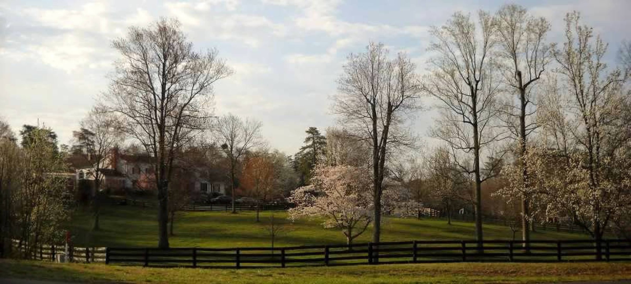 A panoramic early-spring view across the pastures at Brentsville Stables with blossoming trees and black board fencing.