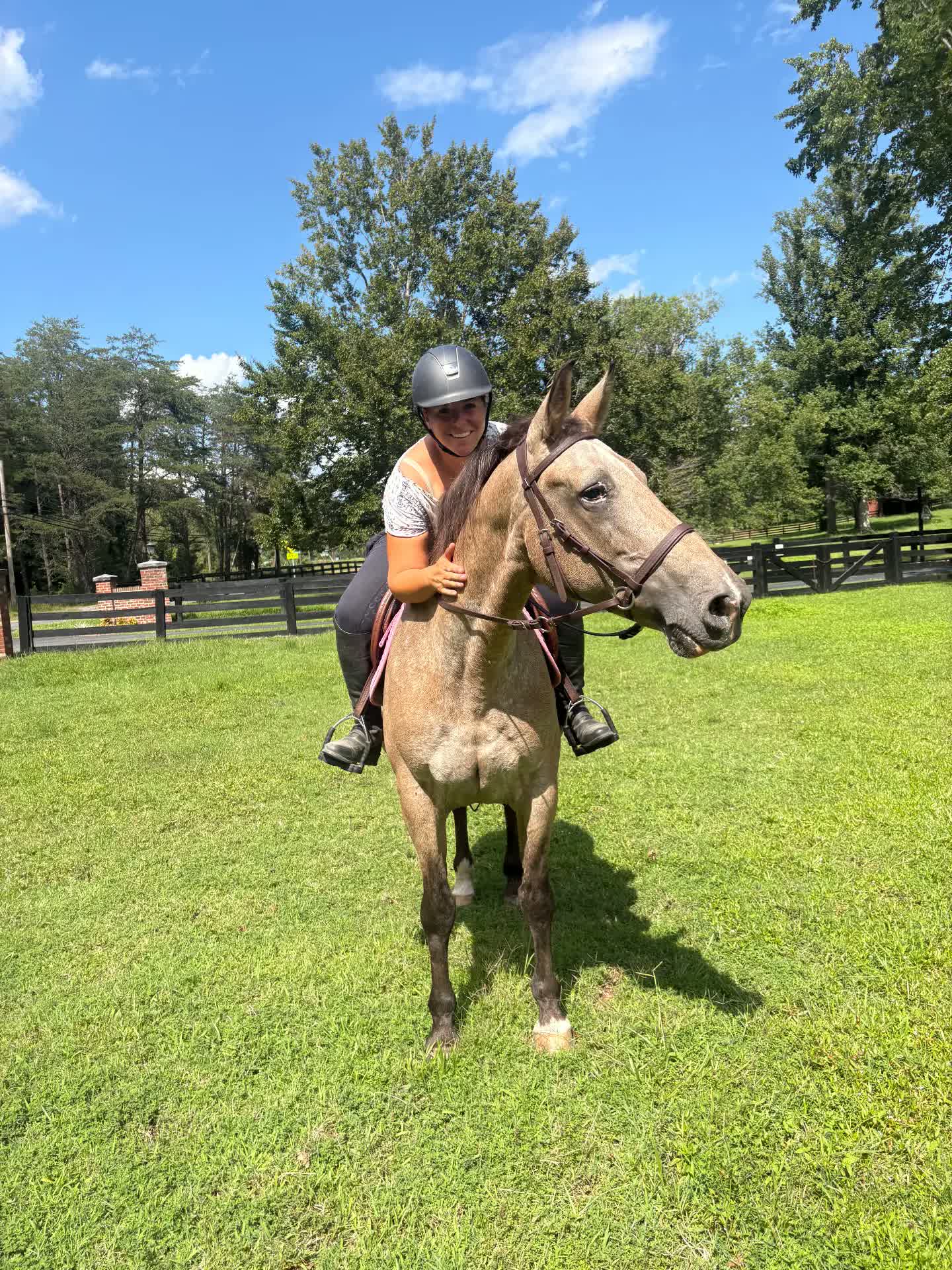 Dakota (Runaway Bride), a school horse at Brentsville Stables