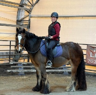 Beau, a school horse at Brentsville Stables